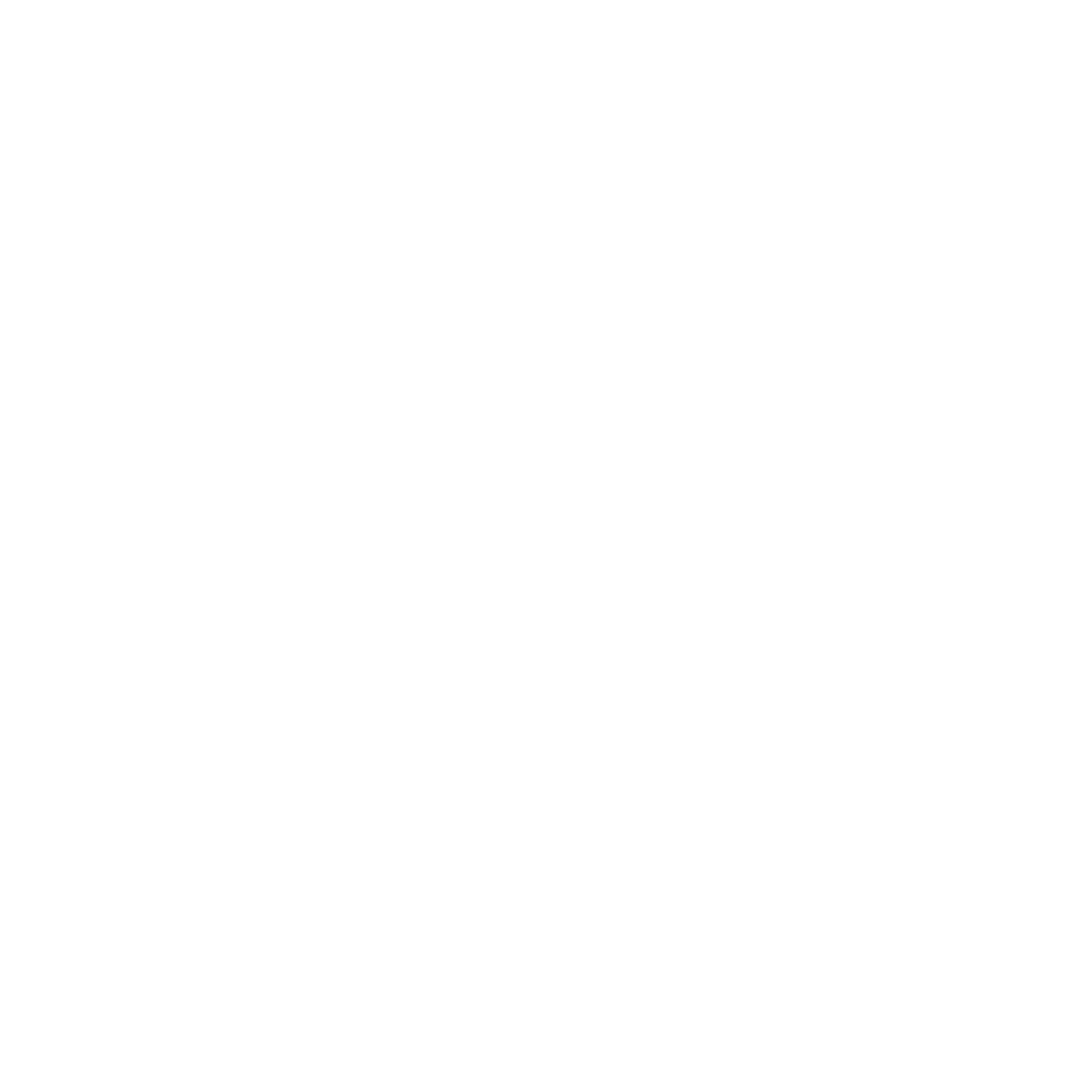 Flynas Airlines